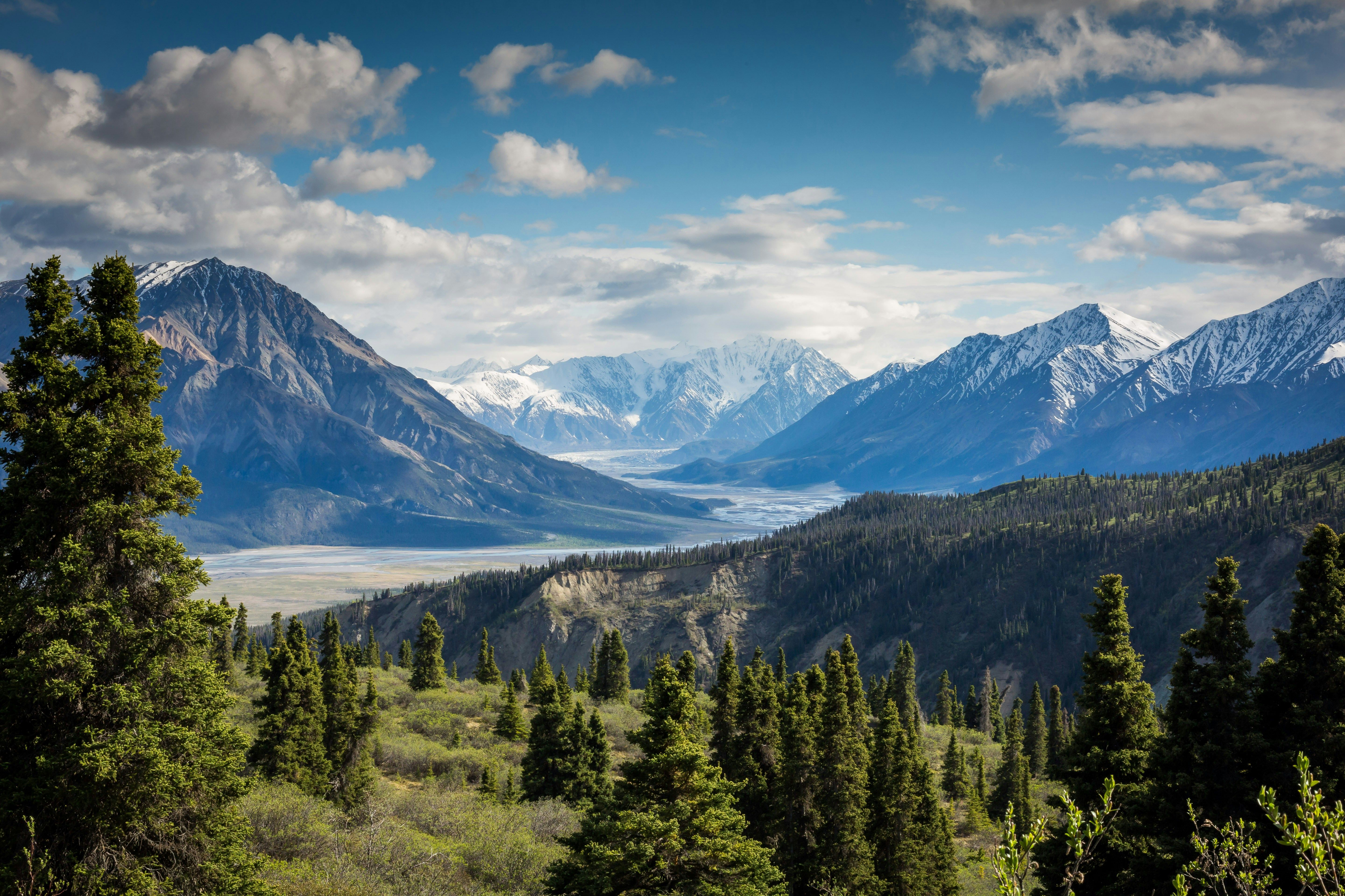A document, the royal charter, establishing the Hudson's Bay Company, serves primarily to safeguard the personal advantages of its creators, rather than being an altruistic or altruistic piece of legislation.