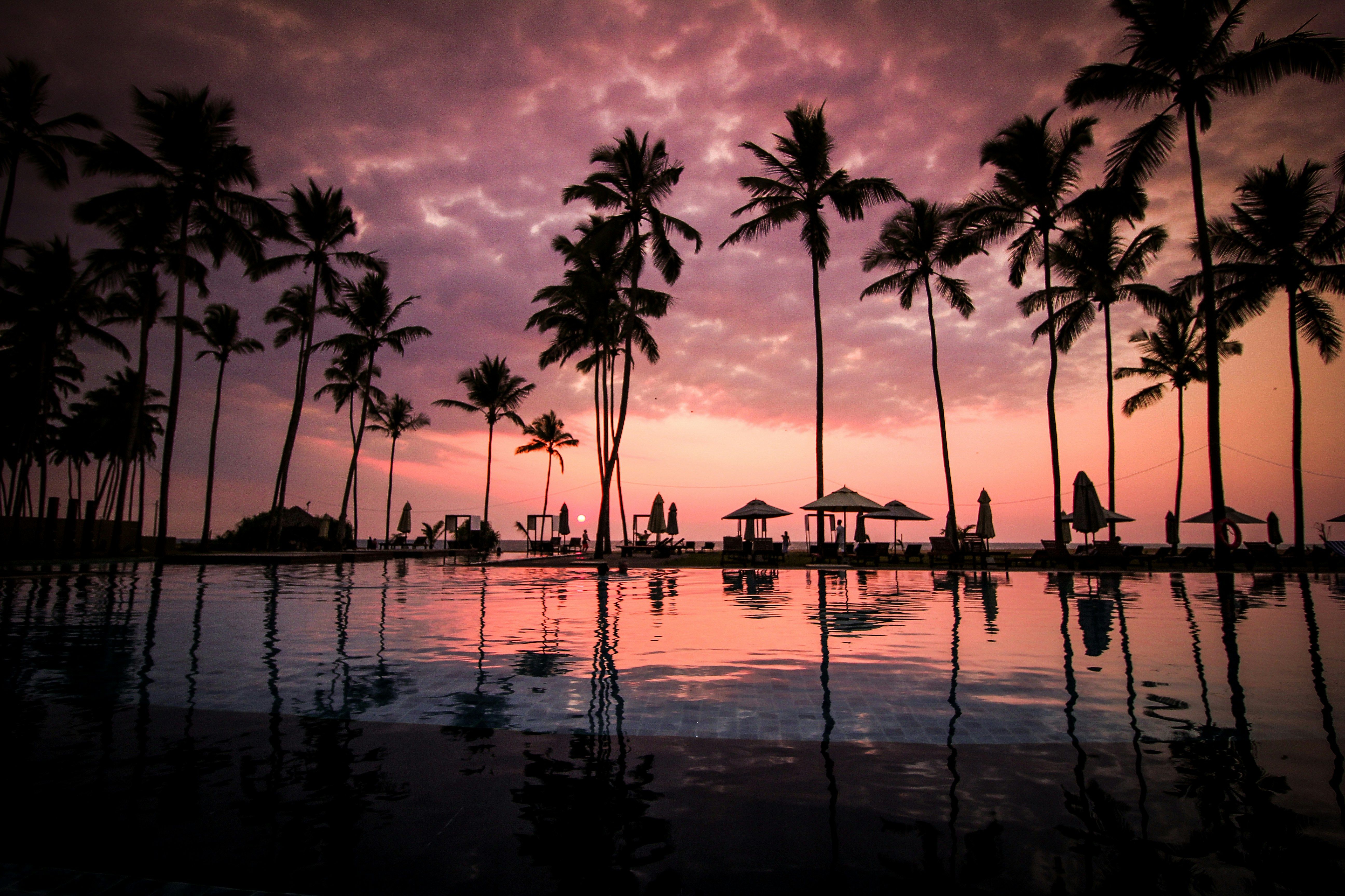 Unedited depiction: Woman in a red swimsuit lounging on a beach chair amidst palm trees and clear blue water, with a dog playfully approaching from the shore behind her. Stock analysts at Seeking Alpha have adjusted their ratings for KO, SNDL, MKL, KTOS, CAKE, CBRE, and OLLI, suggesting a potential decrease in their share values. Delve deeper into the details here.