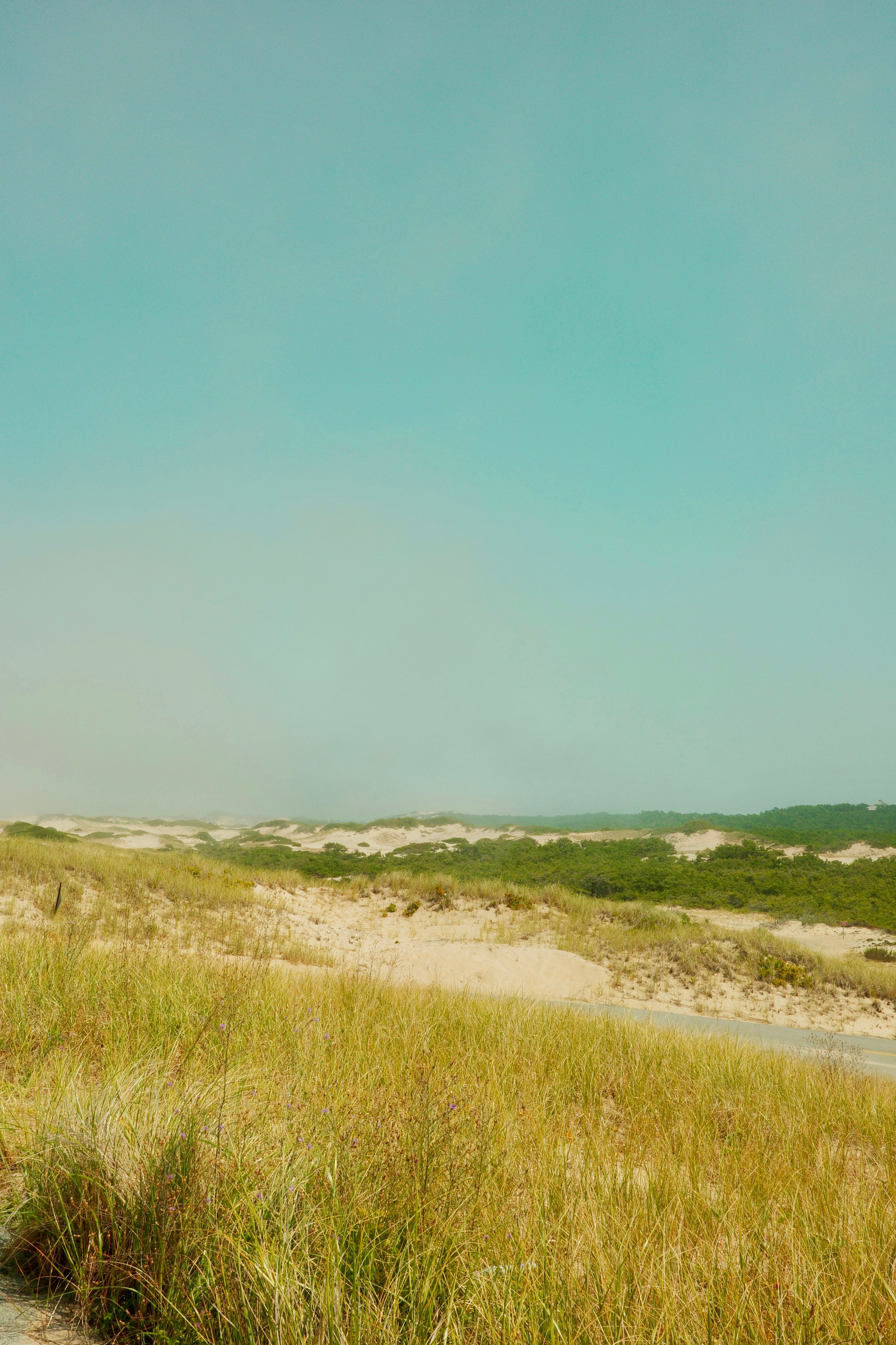 Traditional bank Santander introduces attractive cash incentives for clients opening accounts,...