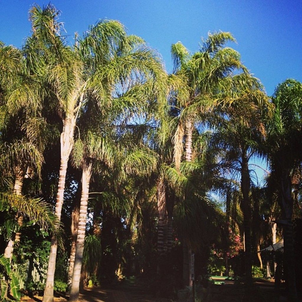 Today, FLR leads the pack among larger-cap alternative cryptocurrencies as a top gainer.