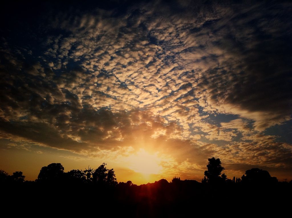 Federal Government's Economic Aid Package Accepted by SPD's Saxony Minister, Dirk Panter (Image...