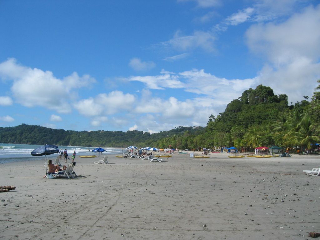 Digital Pocket Wallet: Seamlessly Integrate Your Google Pay, Apple Pay, and Bank Accounts on the Go...