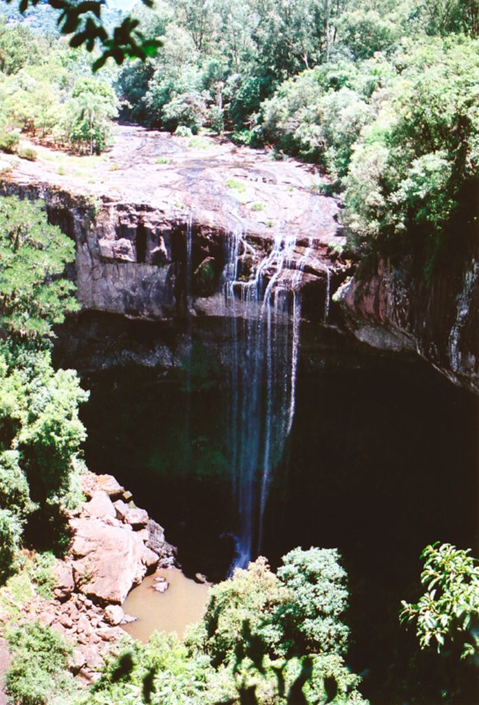 Crypto ventures such as Memecoins generate substantial earnings for Donald Trump.