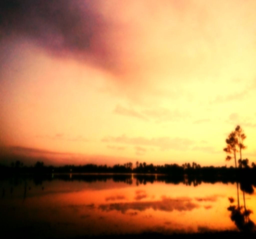 Stock market in Saudi Arabia rebounded significantly on Sunday, amassing a capitalization of $15.2...