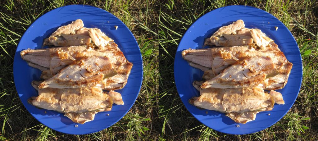 Meat Industry Awards 2024: Tobias Fichtel takes the top prize